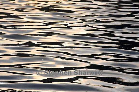 river reflections 37